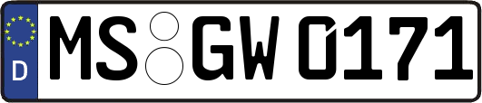 MS-GW0171