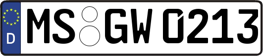MS-GW0213