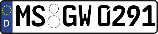 MS-GW0291