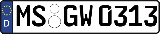 MS-GW0313