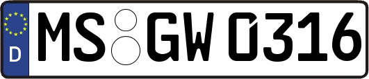 MS-GW0316