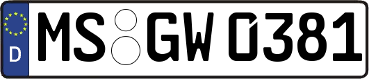 MS-GW0381