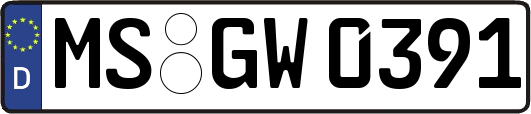 MS-GW0391