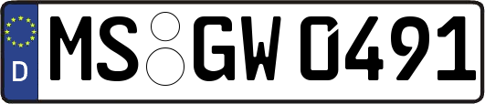 MS-GW0491
