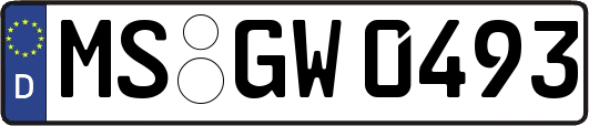 MS-GW0493