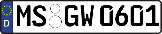 MS-GW0601