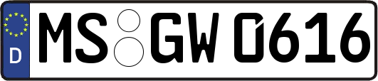 MS-GW0616