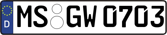 MS-GW0703