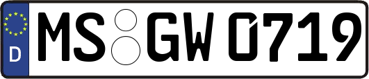 MS-GW0719