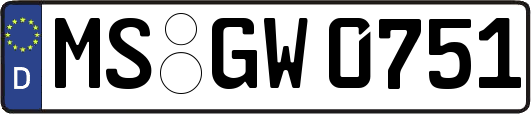 MS-GW0751