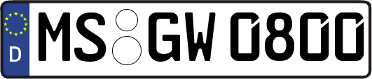MS-GW0800