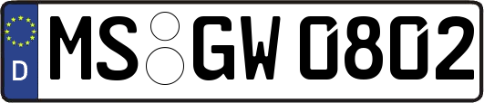 MS-GW0802