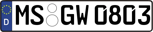 MS-GW0803