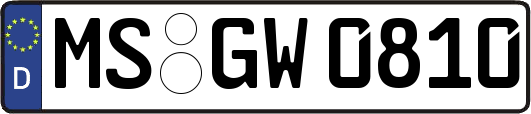 MS-GW0810
