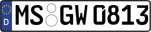 MS-GW0813
