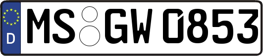 MS-GW0853