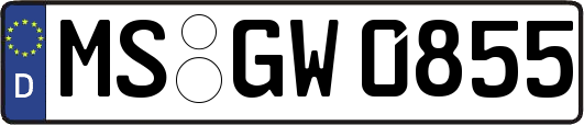 MS-GW0855