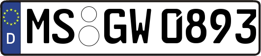 MS-GW0893