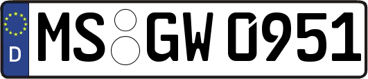 MS-GW0951