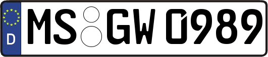 MS-GW0989