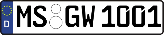 MS-GW1001