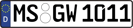 MS-GW1011