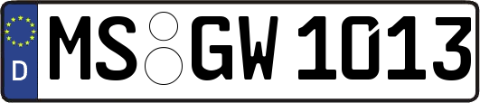 MS-GW1013