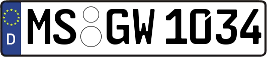 MS-GW1034
