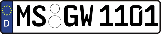 MS-GW1101