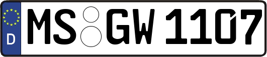MS-GW1107