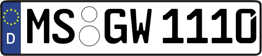 MS-GW1110