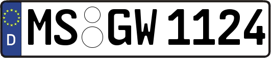 MS-GW1124