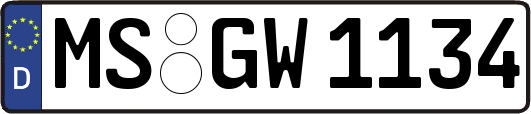 MS-GW1134