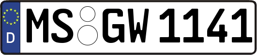 MS-GW1141