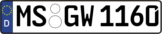 MS-GW1160