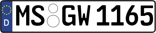 MS-GW1165