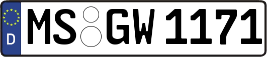 MS-GW1171