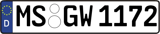 MS-GW1172