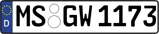 MS-GW1173