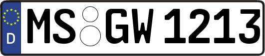 MS-GW1213