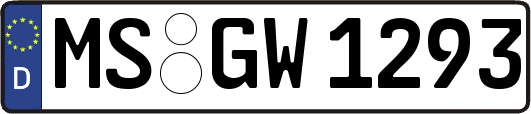MS-GW1293