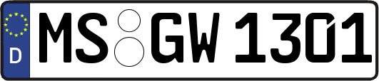 MS-GW1301