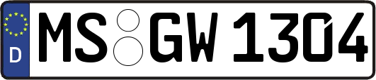 MS-GW1304