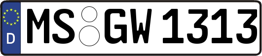 MS-GW1313