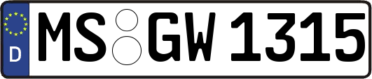 MS-GW1315
