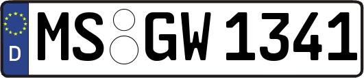 MS-GW1341