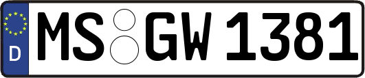 MS-GW1381