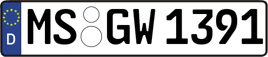 MS-GW1391