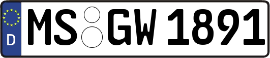 MS-GW1891
