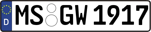 MS-GW1917